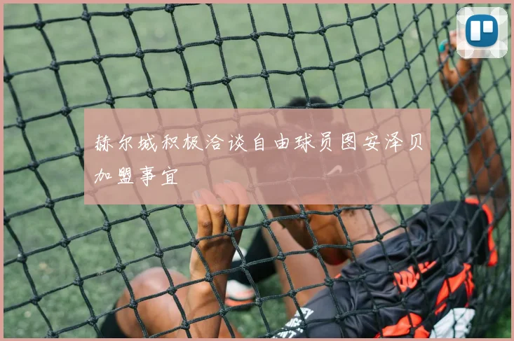 赫尔城积极洽谈自由球员图安泽贝加盟事宜